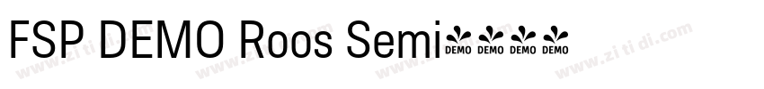 FSP DEMO Roos Semi字体转换 FSP DEMO Roos Semi字体转换